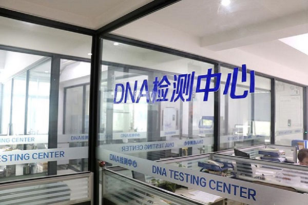ӪDNA